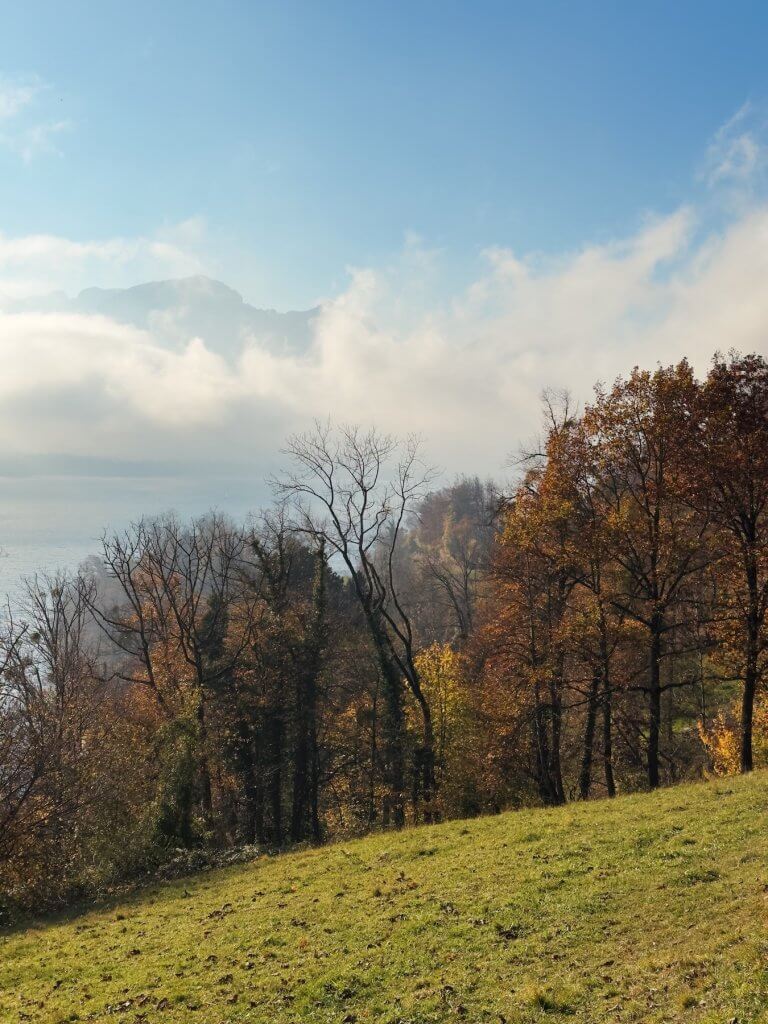 Matthias Maier | Wafts of fog