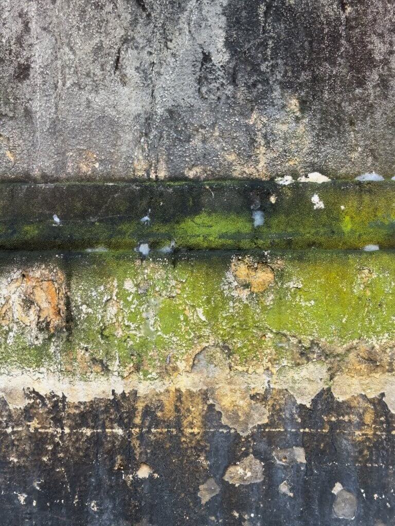 Matthias Maier | Ancient wall