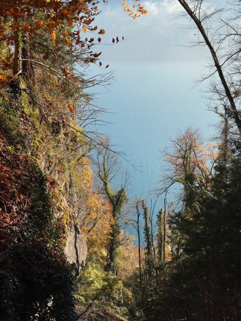 Matthias Maier | Gorge