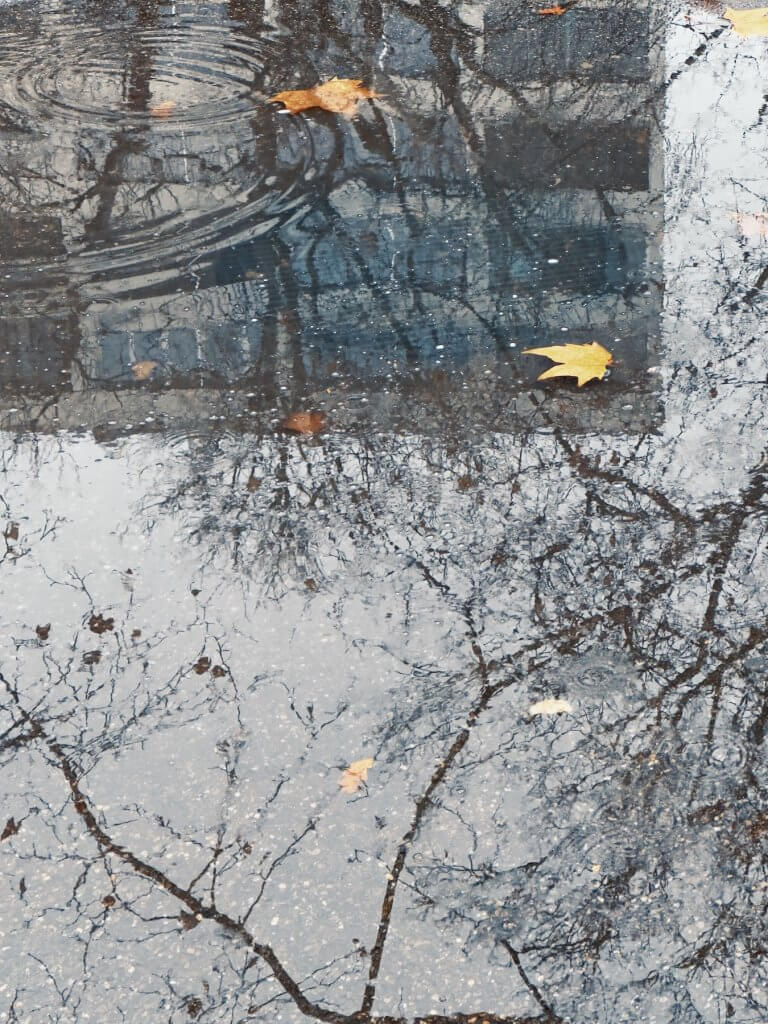 Matthias Maier | November rain