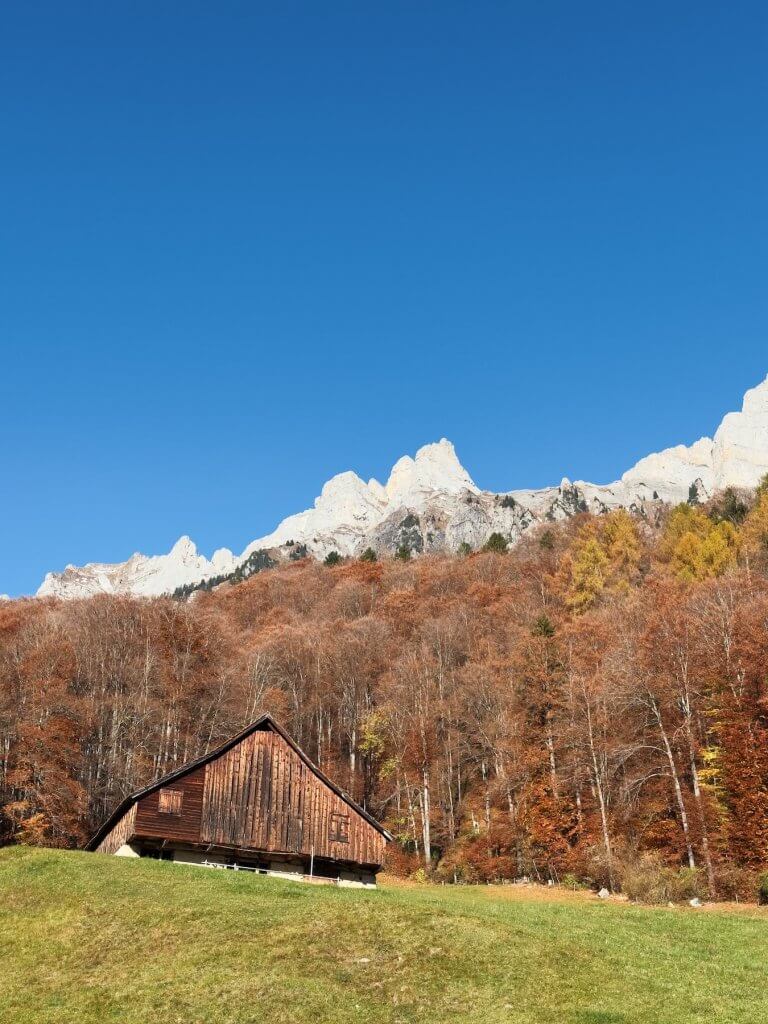 Matthias Maier | Barn