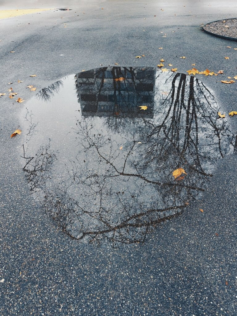 Matthias Maier | The world in a puddle