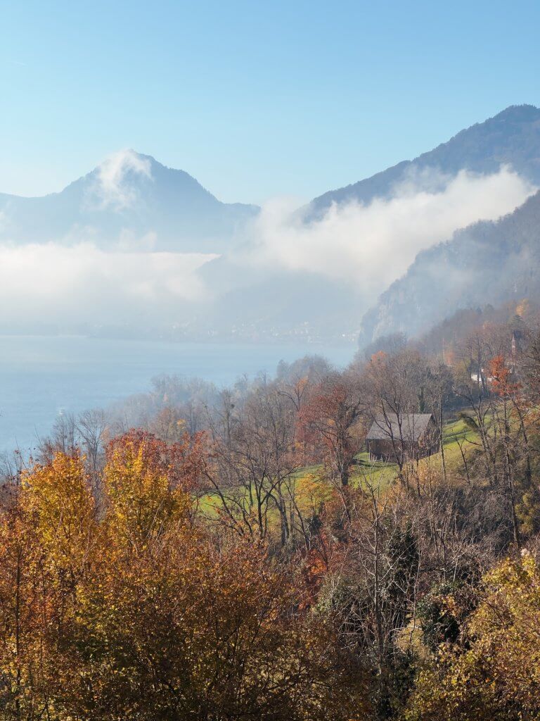 Matthias Maier | Hazy landscape