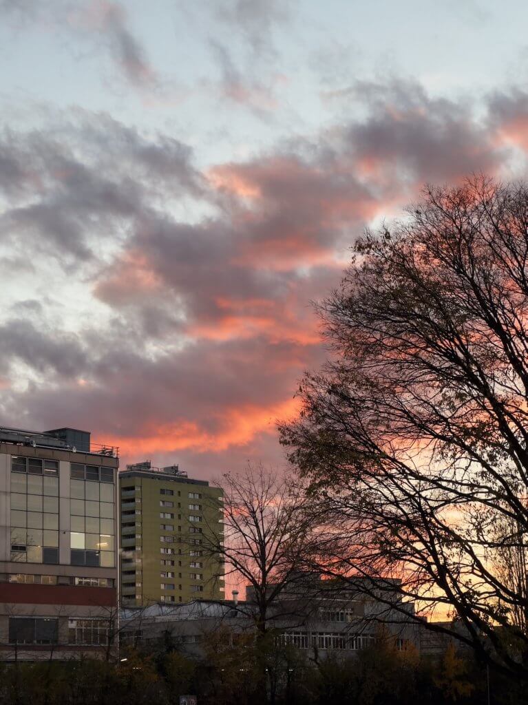 Matthias Maier | Early evening