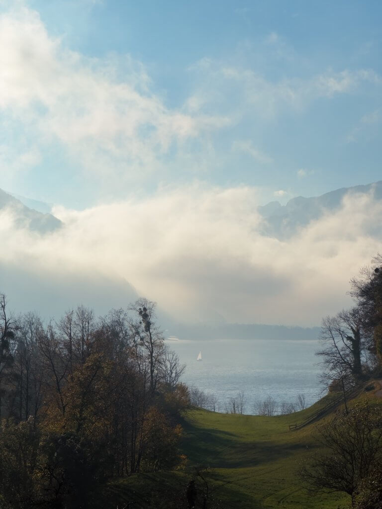 Matthias Maier | Sickle