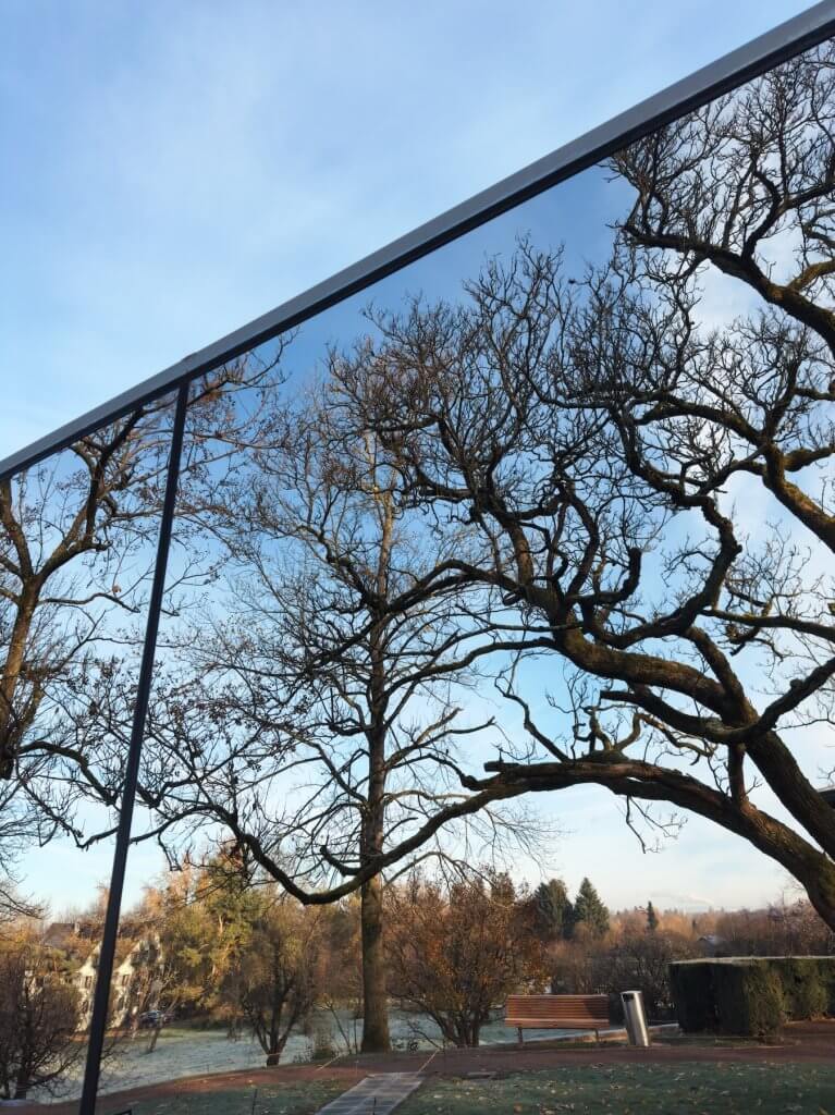 Matthias Maier | Reflected Park