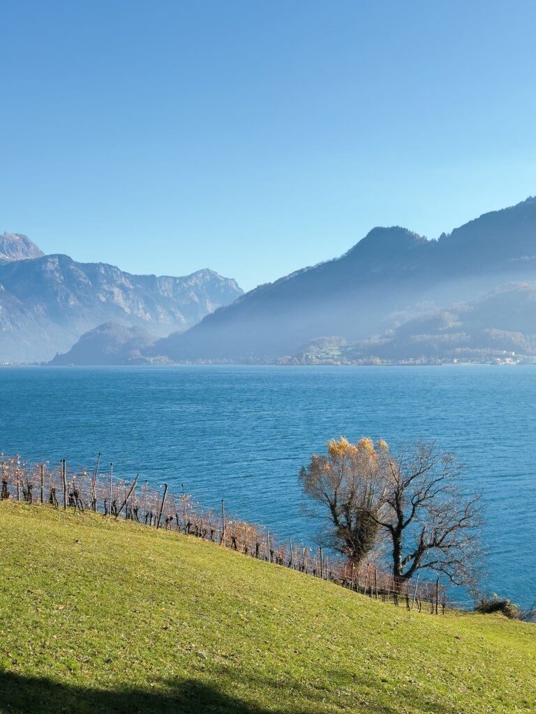 Matthias Maier | November colors