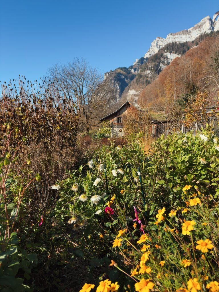 Matthias Maier | Cottage garden