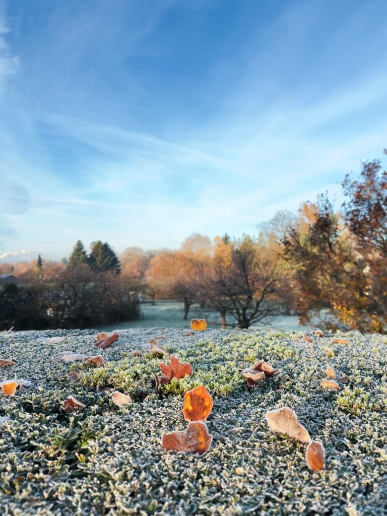 Matthias Maier | Frosty morning