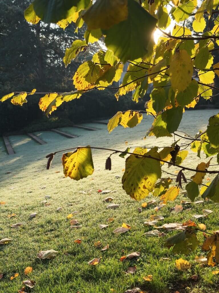 Matthias Maier | Morning sun