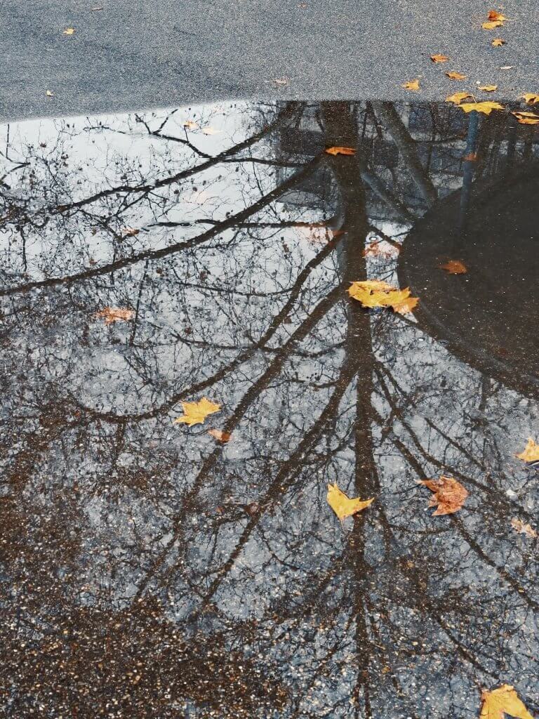 Matthias Maier | Remnants of summer