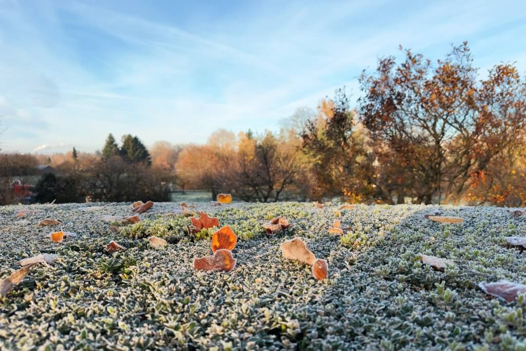 Matthias Maier | Stories | Week 47 2025 | A frosty morning at Fondation Beyeler