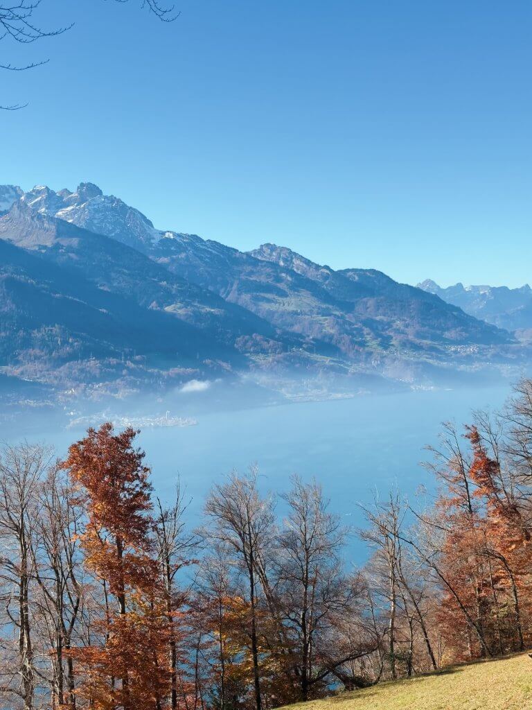 Matthias Maier | Fall in the air