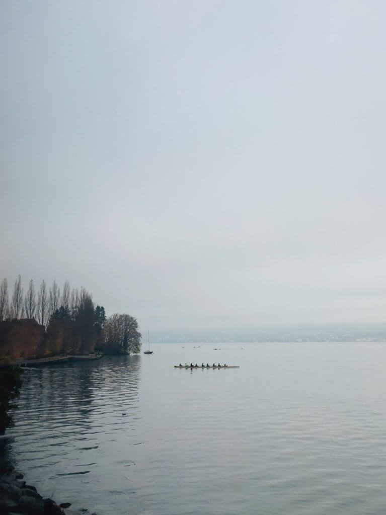 Matthias Maier | Morning rowers
