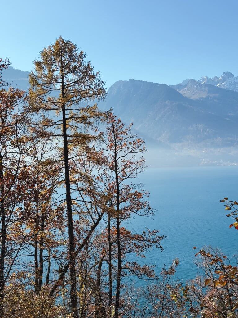 Matthias Maier | Hazy