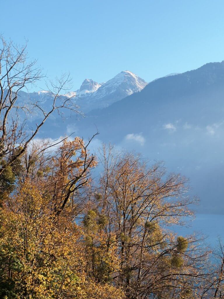 Matthias Maier | Snow covered peaks