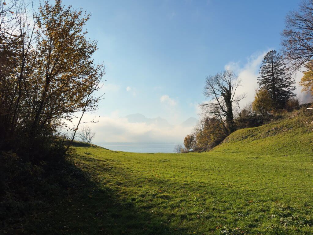 Matthias Maier | Meadow with a view