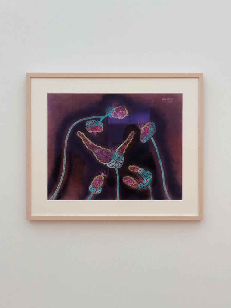 Matthias Maier | Yayoi Kusama: Flower Blooming