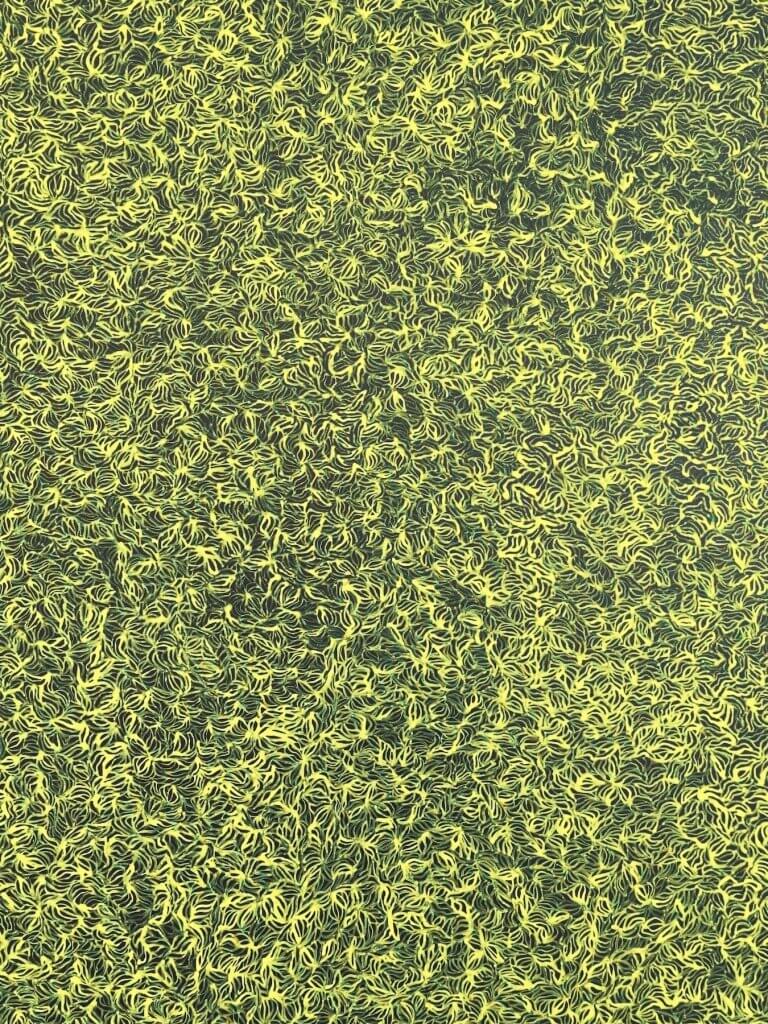 Matthias Maier | Yayoi Kusama: Sprouting