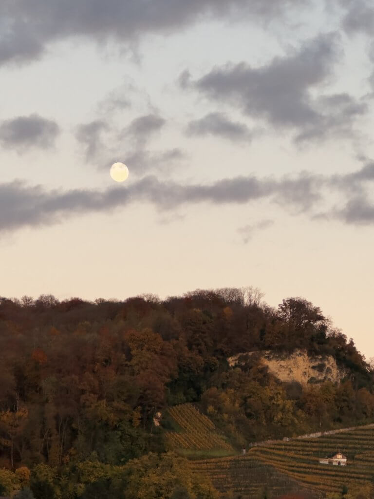 Matthias Maier | Almost full moon