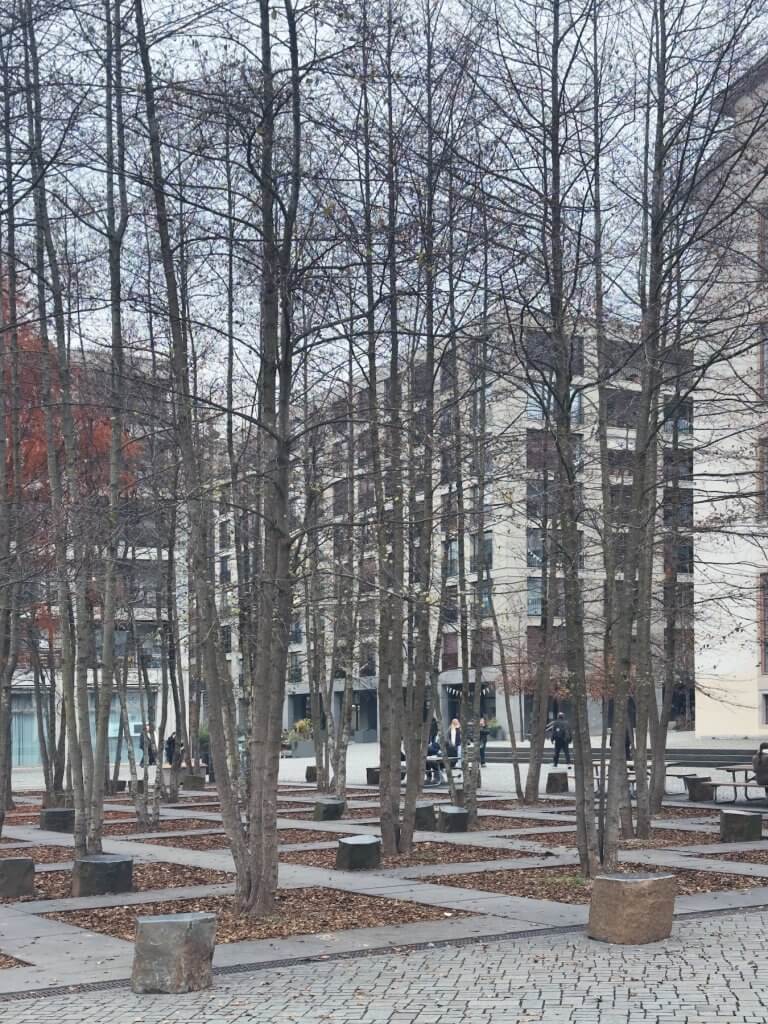 Matthias Maier | Urban grove