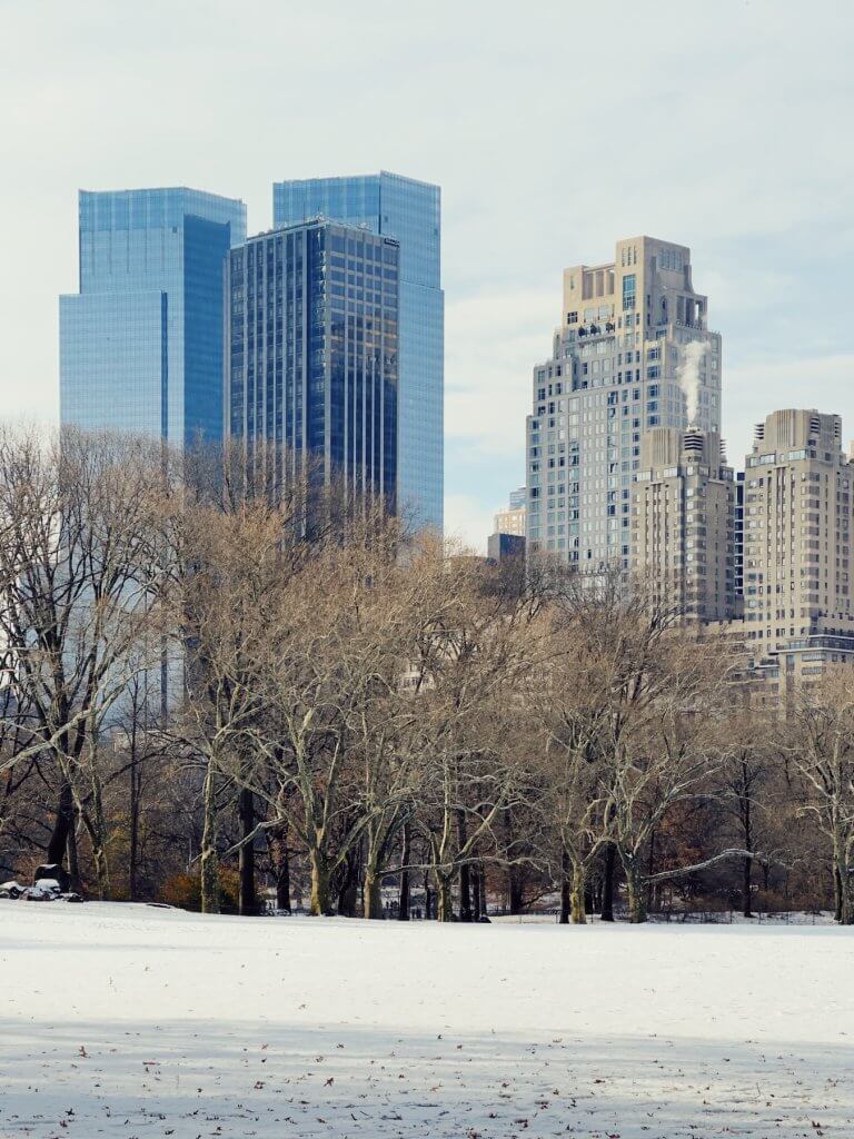 Matthias Maier | Trees and towers