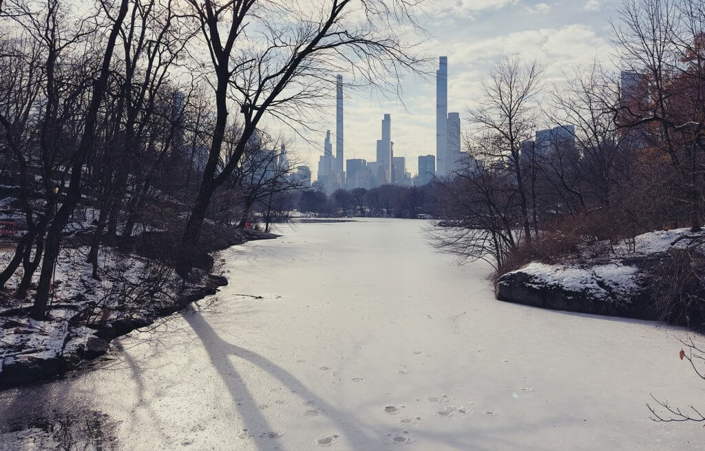 Matthias Maier | Stories | Week 51 2025 | Tree shadows on ice