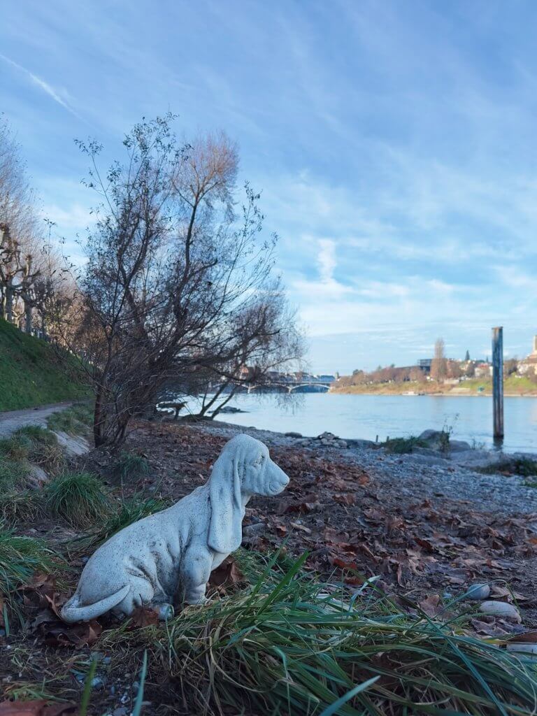 Matthias Maier | Doggy beach