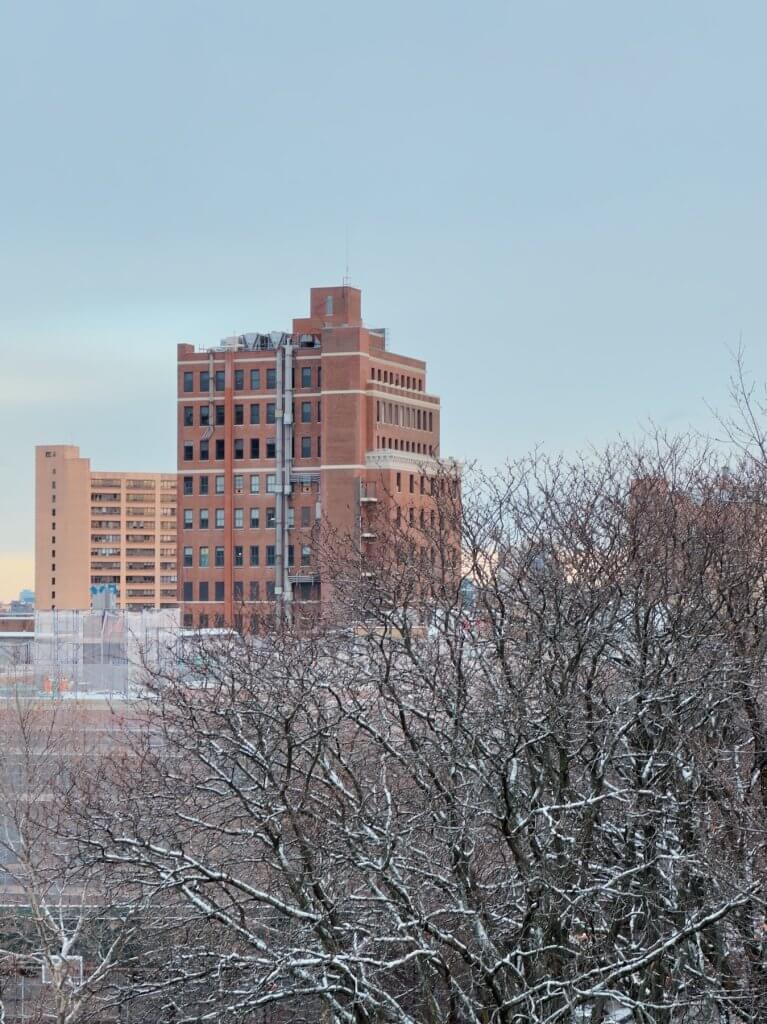 Matthias Maier | Tea time view