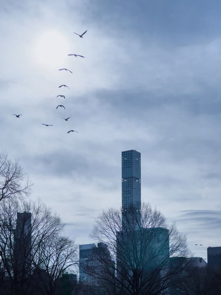 Matthias Maier | Flying away