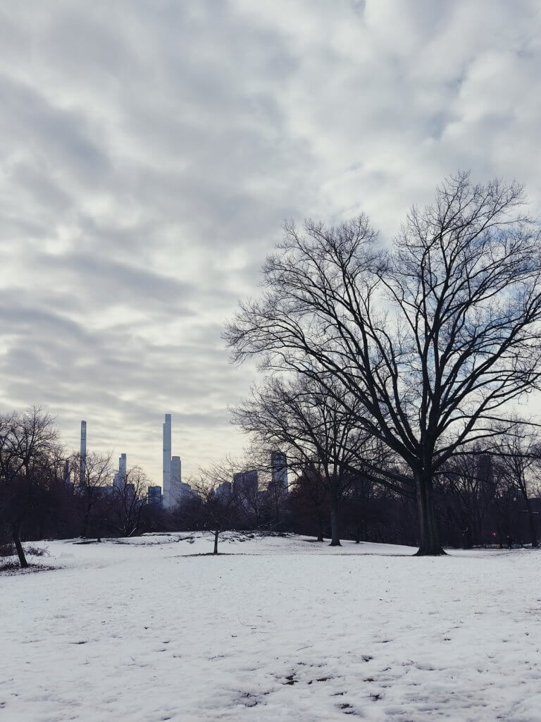 Matthias Maier | Gray world