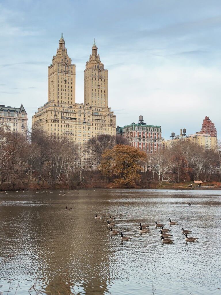 Matthias Maier | The San Remo