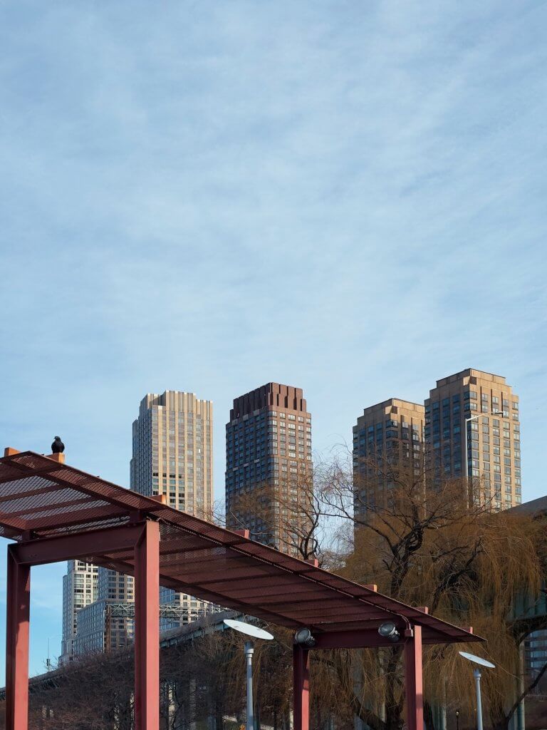 Matthias Maier | The blackbird