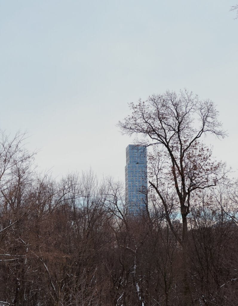 Matthias Maier | Park forest