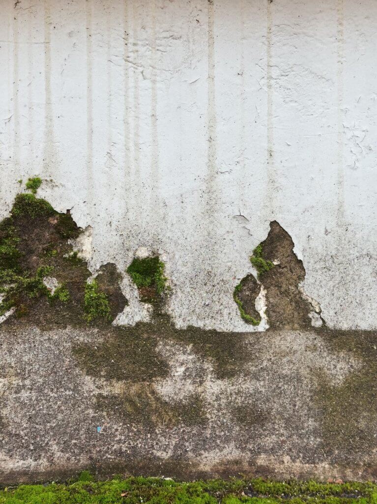 Matthias Maier | Patina