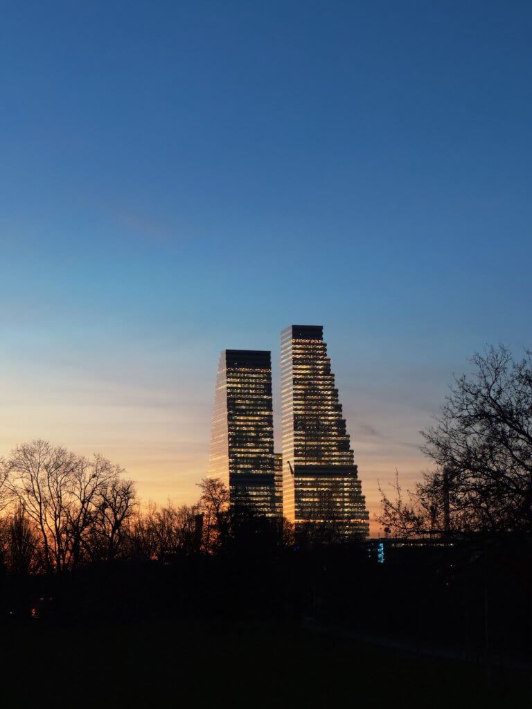 Matthias Maier | Behind the bushes