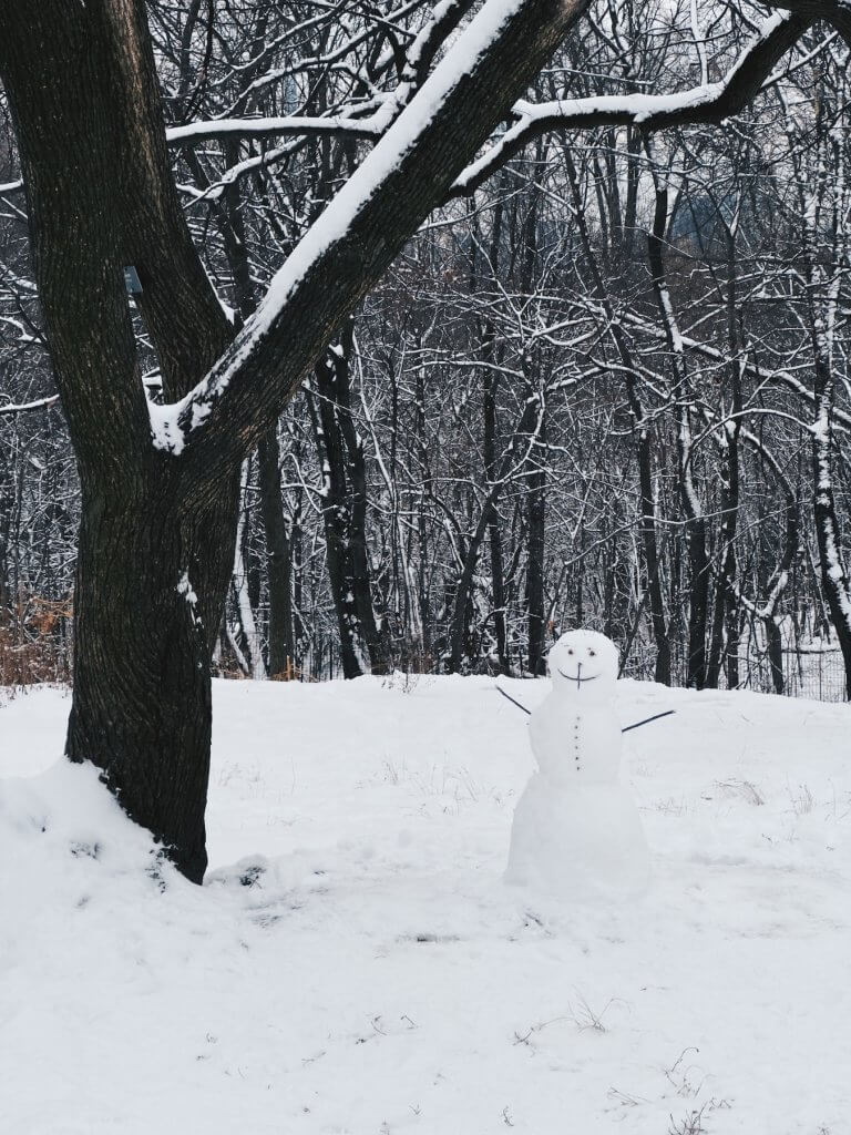 Matthias Maier | Frosty the snowman