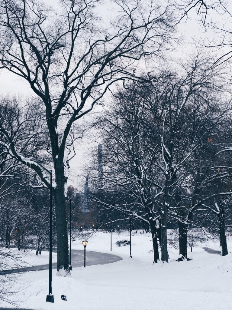 Matthias Maier | Snow in the park