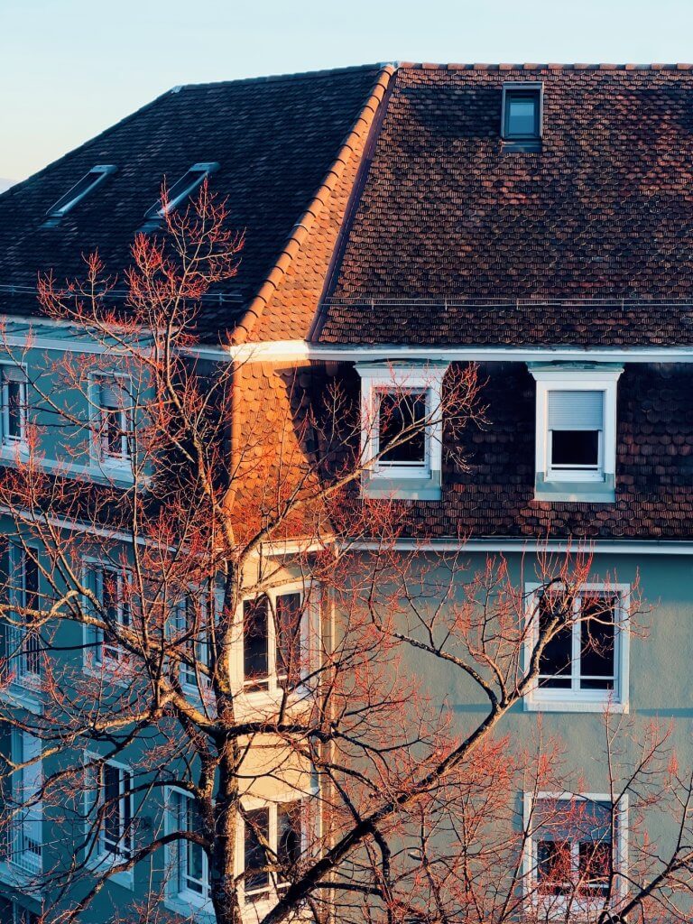 Matthias Maier | The red linden tree