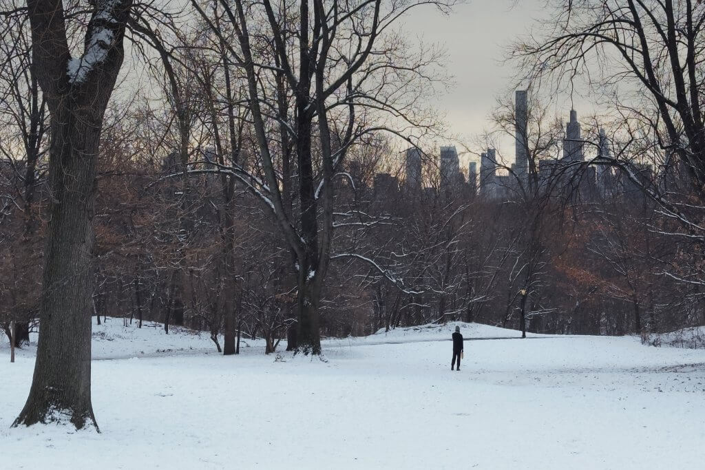 Matthias Maier | Stories | Week 51 2025 | Winter in Central Park