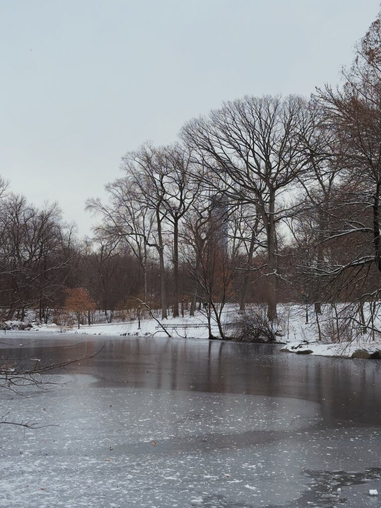 Matthias Maier | Ice on the Pool