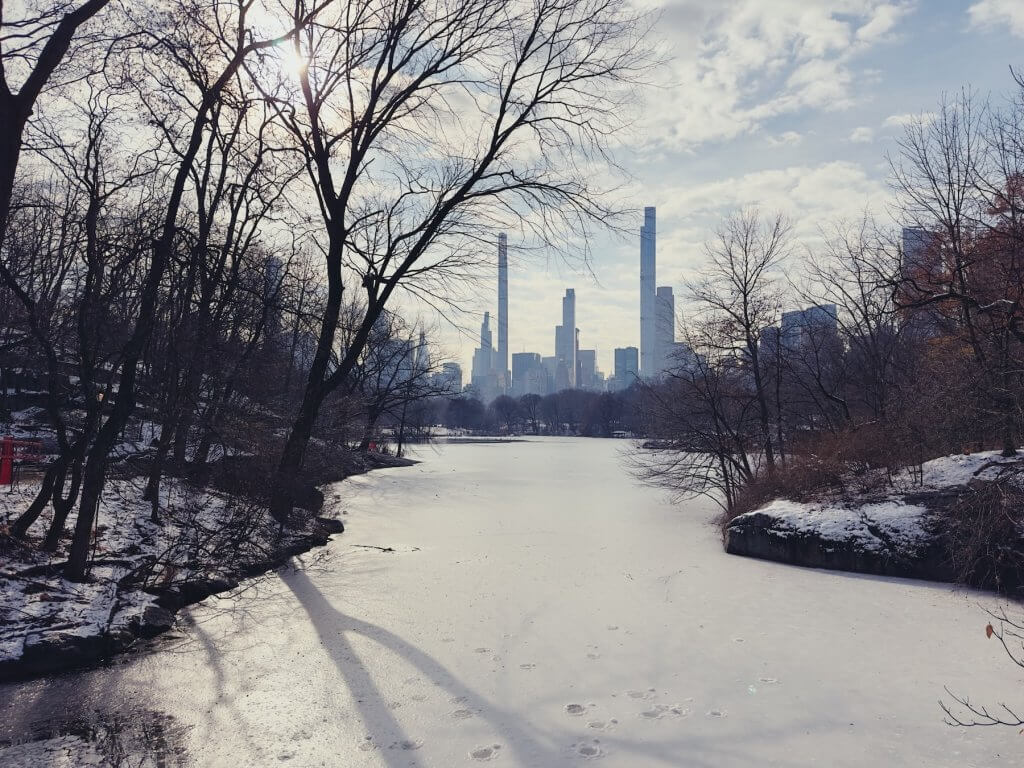 Matthias Maier | Shadow on the ice