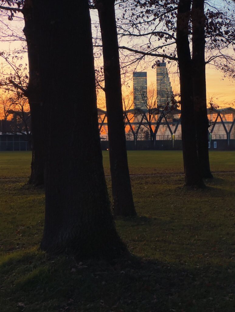 Matthias Maier | Like an enchanted forest