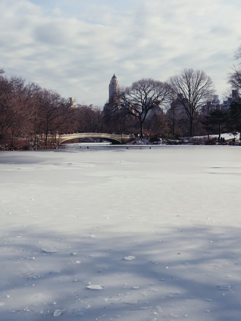 Matthias Maier | Ice shadows